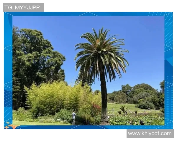 墨尔本与首尔的文化碰撞与城市魅力探索之旅 墨尔本与首尔的文化碰撞与城市魅力探索之旅